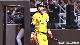 ▲中信兄弟中外野手岳政華遭到三振。（圖／記者劉彥池攝影）