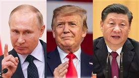 普丁、川普、習近平。（組合圖／翻攝自臉書、新華社）