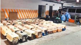 ▲走私破百品種貓來台慘遭安樂死 金主、前海巡署官員上訴遭駁準備坐牢（圖／翻攝畫面）