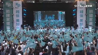 白營稱小草「堂口生物」 四叉貓:落實指控