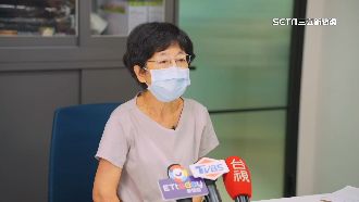 陳佩琪揭1628萬金流　律師：違反經驗法則