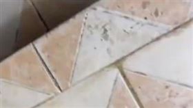 （圖／翻攝自微博）