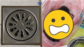 水管,堵塞,堵住,神器,99元,頭髮,洗澡,排水孔