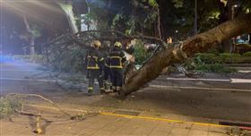 敦化國小校門口大樹倒塌。（圖／翻攝畫面）