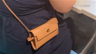 砸738萬買到假愛馬仕　怒告6賣家官司全敗