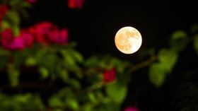 土星合月不祥？她：台灣這2個月戒慎恐懼