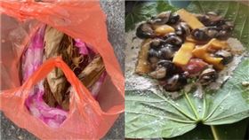 阿嬤,死者,食物,蝸牛,小米粽,金峰鄉,台東（圖／翻攝畫面）