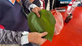  奪命「蝸牛小米粽」，飄農藥味，親友：阿嬤包粽流程跟平常一樣，血桐葉(圖／翻攝畫面)