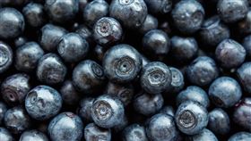 藍莓(示意圖/翻攝自pixabay)