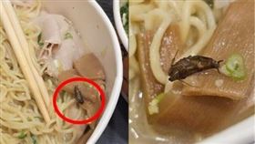 點熊貓高雄某知名拉麵外送裡面竟有小強！
（圖／翻攝自爆料公社）