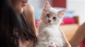 ▲給寵物取名是一件充滿樂趣的事情！（圖／翻攝自pixabay）