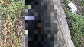 台中水溝見「爛臉無名屍」民眾聞異味尋屍