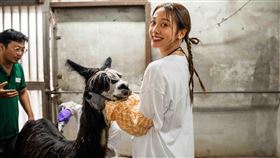 鬼鬼前進動物園出任務。（圖／好看娛樂提供）