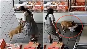 小黃狗莫名發狂！緊咬3歲女童不放　遭民眾群毆被打到死才鬆口