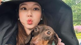 趙露思時常在社群曬狗，是出了名的愛狗。（圖／翻攝自微博）