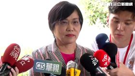 內政部長劉世芳受訪