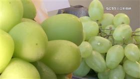 葡萄界貴族「麝香」分4種　帶荔枝香、中心辨黑點