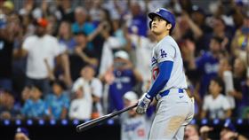 ▲大谷翔平「51轟51盜」，同場寫下多項紀錄。（圖／路透社／達志影像）