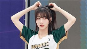 職棒台鋼雄鷹啦啦隊的一粒近期人氣飆升。（圖／翻攝自ilixoxov IG）