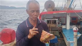 宜蘭頭城大溪漁民今天清晨在龜山島外海進行底棲拖網作業時，意外捕獲1只約手球大小（底寬20公分、高15公分）的罕見活體龍宮貝，龍宮貝最早出現於五億年前的古生代寒武紀，又被稱為「活化石」，因活體龍宮貝相當稀有，價值曾被上看百萬。