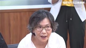 蔡壁如出席時代力量第三勢力興衰起落研討會。