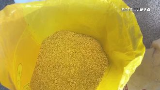 阿粨3死案擴大追來源！小米農藥超標794倍