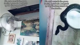 馬來西亞,巨蟒,網紋蟒,住家,天花板（圖／翻攝抖音）