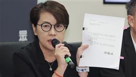 民眾黨團說明京華城容積率案（3）台灣民眾黨19日在立法院召開「審容積變圖利 政治追殺何患無辭？」記者會，民眾黨立委黃珊珊（右）手拿過去台北市政府通過的都市計畫書例證，說明京華城容積率案。中央社記者裴禛攝  113年9月19日