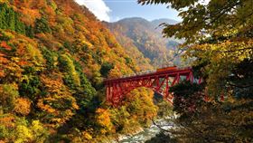 阿里山林鐵票券可與日本黑部峽谷鐵道換票（1）阿里山林業鐵路與日本黑部峽谷鐵道締盟以來，已連續5年辦理票證互惠活動，今年遊客可持使用過的阿里山林業鐵路支線票券兌換黑部峽谷鐵道來回票。圖為黑部峽谷鐵道風光。（阿里山林鐵及文資處提供）中央社記者江俊亮傳真　108年5月3日