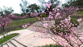 新竹公園。圖/街景地圖