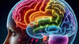 大腦。（圖／取自黃軒的臉書）