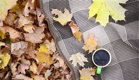 ▲秋分以後天氣越來越涼爽（圖／CANVA製作）