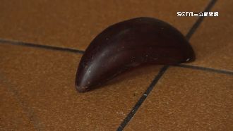 土地公得道日擲立筊　廟方「關內殿」保護