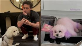 布魯克林貝克漢。（圖／翻攝自IG）