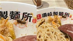 讚岐製麵所 烏龍麵有蟑螂 圖/翻攝自爆料公社