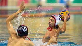 ▲臺北國際水球邀請賽28日登場，由冠軍型男教練羅淼領軍。（圖／台北水球協會提供）