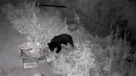 （圖／翻攝自搜狐網）