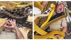 布魯爾躺在一大群巨大蟒蛇中間，表情興奮地向鏡頭比出愛心。（圖／翻攝自X）