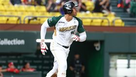 ▲魔鷹（Steven Moya）揮出本季第28轟。（圖／台鋼雄鷹提供）