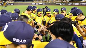 ▲中信兄弟。（圖／中信兄弟提供）