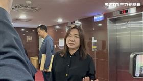 ▲國民黨立委馬文君（圖／記者陳怡潔攝影）