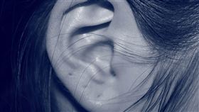 圖/翻攝自pixabay 耳洞、耳朵