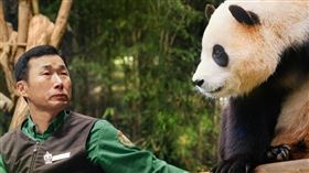 《再見，福寶》。（圖／車庫娛樂提供）