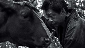 《黑之牛》、《雨中的慾情》。（圖／光年映畫提供）