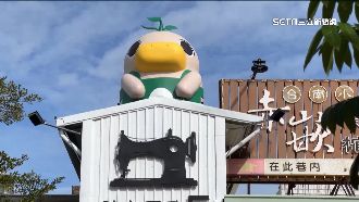 諧音哏無極限！市場吉祥物「菜奇鴨」爆紅