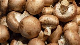 香菇（圖／pixabay）