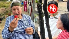 洪金寶（小紅書、微博）