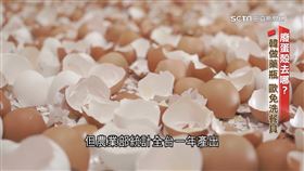 廢蛋殼新去處！ 製粉抑菌又消臭 國際搶輸入