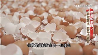 廢蛋殼新去處！製粉抑菌消臭　國際搶輸入