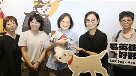 前總統蔡英文26日帶著愛犬樂樂前往松菸文創園區逛展（圖／翻攝自蔡英文threads）